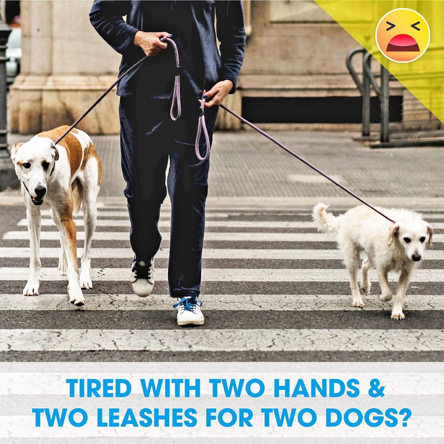 Double Dog Leash Splitter, Tangle Free Dual Dog Leash Coupler, Two Dog Walking and Training Extension for Small Medium or Large Dogs (1.0'' X 20~32 Inch, Green)